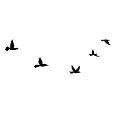 Flying Bird Silhouette