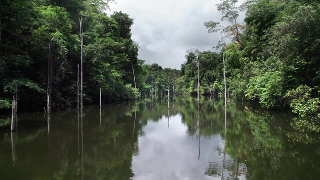 Guyane, navigation sur le lac de Petit-Saut