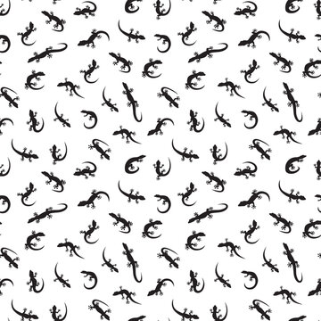 Editable vector 13 gecko silhouettes.Set collection isolated black on white background