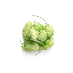 Heap of fresh green hops on white background