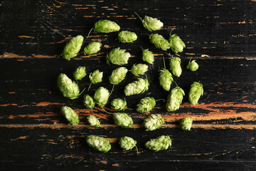 Fresh green hops on black wooden background