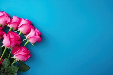 Hot pink roses on blue banner background with copy space for valentine or mother's day holiday.
