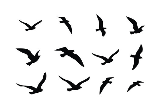 Vector illustration flying flock of birds. Beautiful flight bird silhouettes collection.