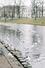 Obraz na płótnie Canvas Riga, Latvia
