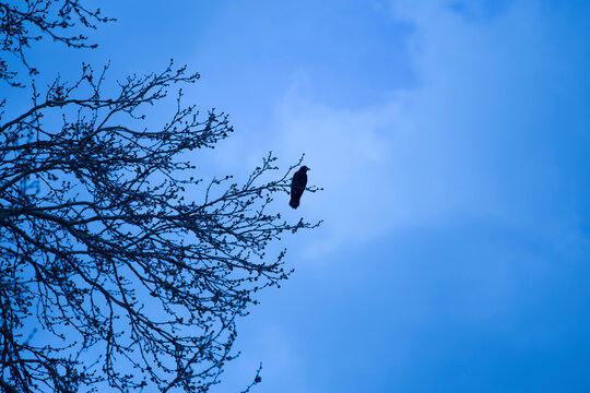 Minimal Photography in pristine Nature