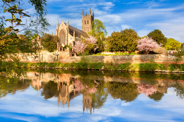 Fototapeta na wymiar Worcester Cathedral on a sunny spring morning, with cherry blossom in bloom, and a reflection in the River Severn.