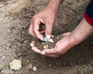 Male hands choose stones from the ground