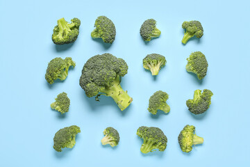 Fresh green broccoli on blue background