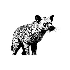 Silhouette of a hyena black and white | Illustration of a hyena on white background