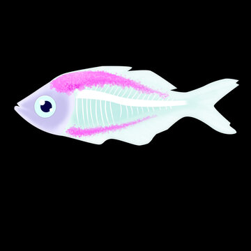 illustration X-ray fish image black background