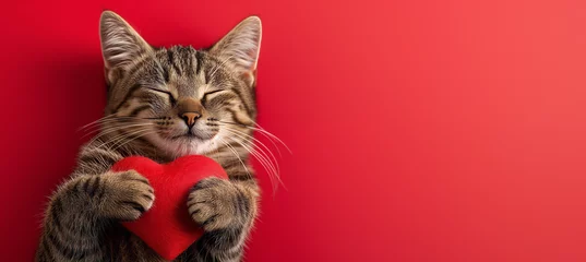 Tuinposter Cute cat with a red heart , isolated on red background: Ideal Template for Valentine's Day, Love, or Wedding Greeting Cards © GustavsMD