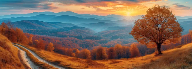 Foto op Aluminium Autumn Splendor: Majestic Mountain Trail at Sunrise with Breathtaking Views © Tomasz