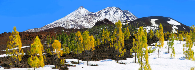 Pico del Teide mit Schnee und Lavalandschaft mit Kanaren-Kiefern, Insel Teneriffa, Kanaren, Spanien, Europa, Panorama © Aggi Schmid