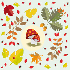 Fototapeta na wymiar autumn, pattern, season, autumn fall, oak leaf, mushrooms, rose hip,