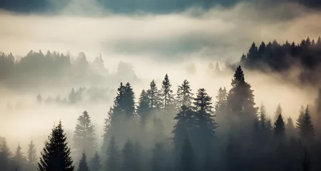 Foto auf Acrylglas Wald im Nebel landscape with fir forest in vintage 