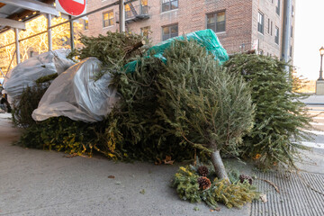 a pile of dead christmas trees and discarded christmas wreath on an urban street corner waiting to be picked up as trash