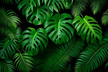 fern leaves in the forest