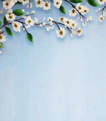 Blossom in spring on the blue background. Template with flowers. Vintage backdrop. Card design. Beautiful background with empty copy space.