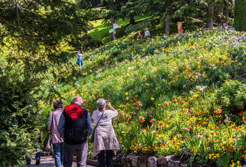 visitors walking in the meadow of the famous Trauttmansdorff botanical garden, Merano in South Tyrol, Italy, May 21, 2023 - obrazy, fototapety, plakaty