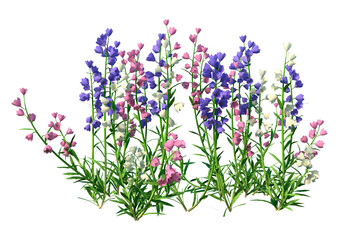 Obraz premium 3D Rendering Canterbury Bells on White