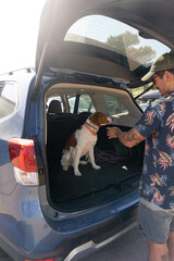 Man going on a road trip with his dog.vertical