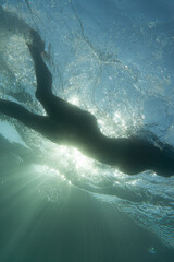 silhouette of a girl swimming at sea. seen from below. underwater.