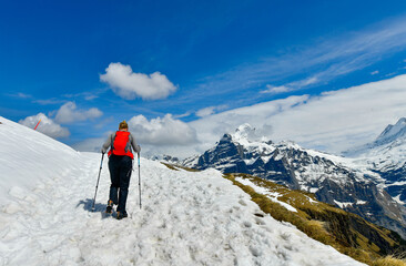 Naklejka na ściany i meble Scene with hikers walking along the alpine paths of the Bachalpsee Lake Trail in Swiss Alps Grindelwald ,Switzerland