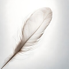 A single, intricately detailed feather floating weightlessly in the air, its delicate filaments casting subtle shadows on a seamless, transparent white canvas