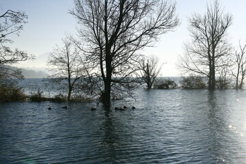 Inondations  vers le lac du Bourget à Aix-les-Bains dans le département de la Savoie en hiver