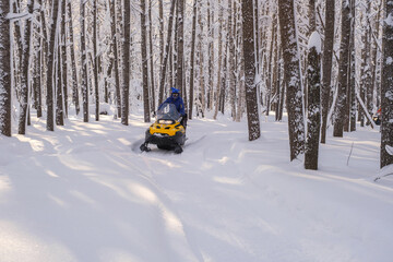 Woman on a snowmobile moving in the winter forest in the mountains of the Southern Urals