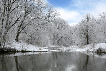 lake in winter forest - 712426925