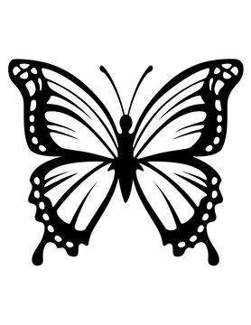 Butterfly Illustration, Butterfly Tattoo Cut File, Butterfly Stickers Vector, Butterfly Decals Clipart, Butterfly Insect Stencil