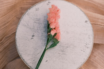 ピンク色のスターチス