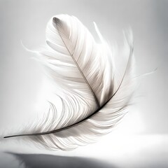 A single, intricately detailed feather floating weightlessly in the air