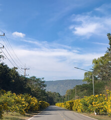 road in the countryside Thailand.