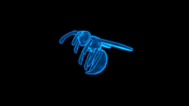 4k Hornet technology video. Hornet technology video, Hornet 360 turn, Hornet wireframe video