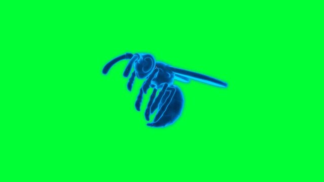 4k green screen Hornet technology video. Hornet technology video, Hornet 360 turn, Hornet wireframe video