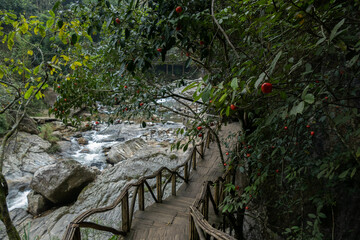Cat Cat Waterfall locate on Cat Cat Village, Sa Pa District, Northern Vietnam