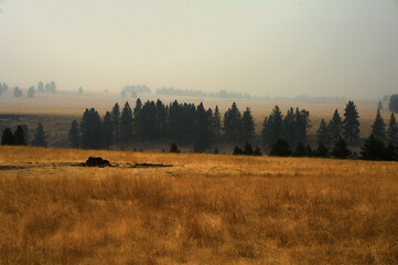 Oregon Wildfire Smoke