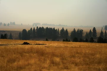 Fototapeten Oregon Wildfire Smoke © Steve