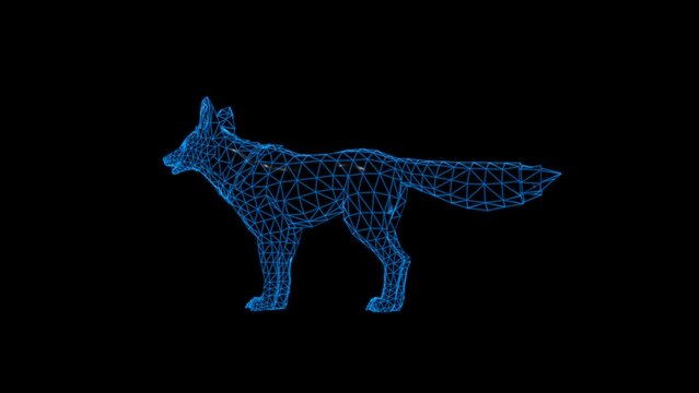 4k Jackal Wolf technology video. Jackal Wolf technology video, Jackal Wolf 360 turn, Jackal Wolf wireframe video