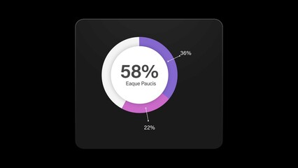 Infographic Pie Chart Animation Template