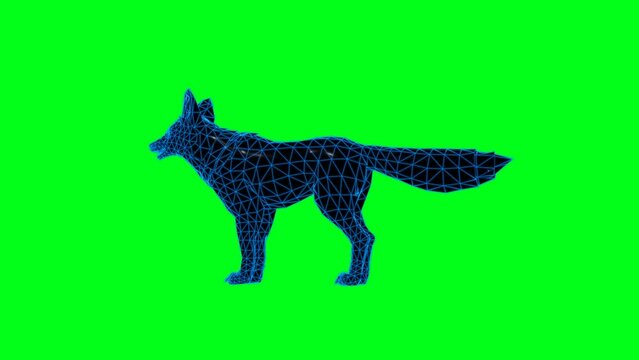 4k green screen Jackal Wolf technology video. Jackal Wolf technology video, Jackal Wolf 360 turn, Jackal Wolf wireframe video