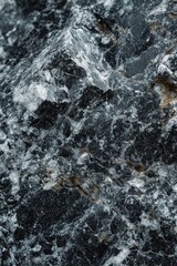 Obraz premium A close-up view of a black and white rock. This image can be used for various purposes