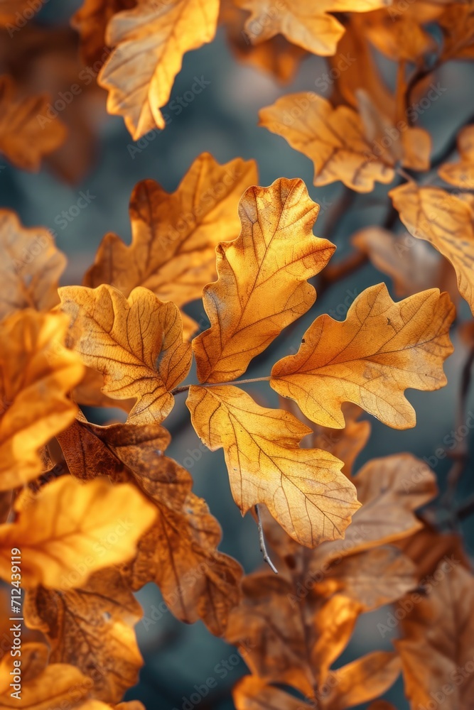Poster a close-up view of a bunch of leaves on a tree. this image can be used to depict nature, seasons, or