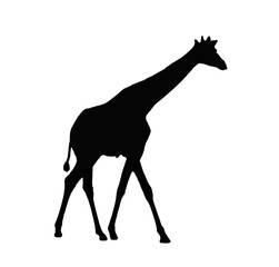 Black giraffe sill silhouette transparent PNG