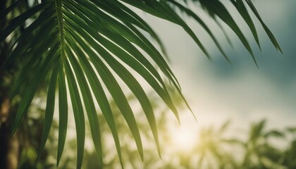 closeup nature view of green leaf and palms background. tropical leaves