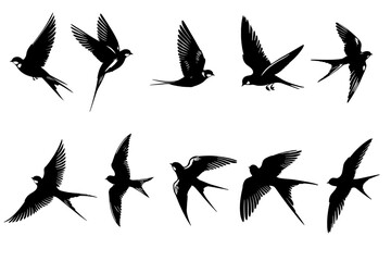 set of sparrow birds flying