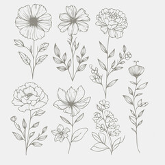 Set of vector hand drawn flowers. Floral design elements. Can be used for cards, invitations, banners, posters, print design.