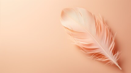 delicate light soft feather of light peach color, Peach Fuzz trend, banner, poster